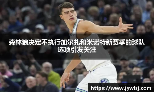 森林狼决定不执行加尔扎和米诺特新赛季的球队选项引发关注